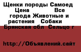 Щенки породы Самоед › Цена ­ 20 000 - Все города Животные и растения » Собаки   . Брянская обл.,Сельцо г.